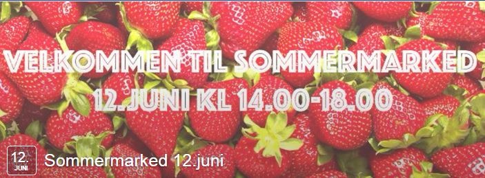 Sommermarked i klubbhuset