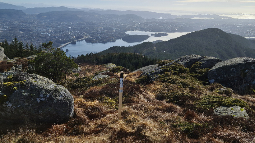 Bønestrimmen med i Stolpejakten!